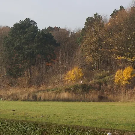 Nice House With Large Garden In And Near The Sea Prázdninový dům Noordwijk