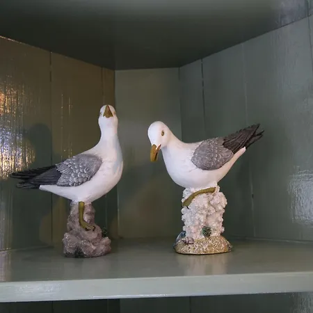 Prázdninový dům Nice House With Large Garden In And Near The Sea Noordwijk