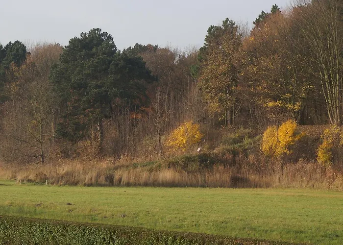 Nice House With Large Garden In And Near The Sea Дом отдыха Нордвейк-ан-Зее