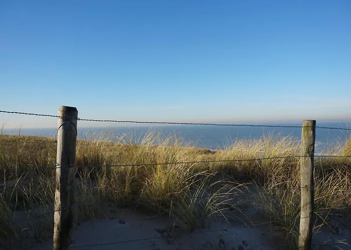 Nice House With Large Garden In And Near The Sea Noordwijk